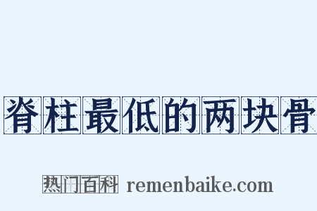 脊柱最低的两块骨是什么意思的图片